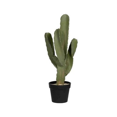 Kunstige planter Cactus cereus