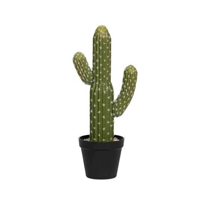 Kunstige planter Cactus saguaro