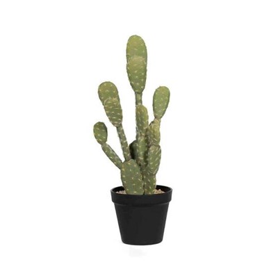 Kunstige planter Cactus opuntia