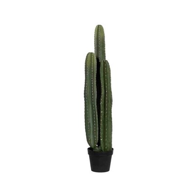 Kunstige planter Cactus san pedro