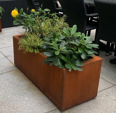 Cortenstål Plantekasser Rusty 100x50x50